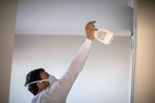  Ridgewood, IL Mold Removal Pros